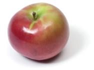 MacIntosh apple